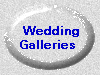  Wedding Galleries 