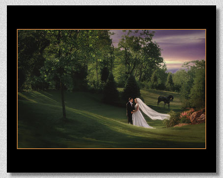National Blue Ribbon Winner - Accepted into Professional Photographers of America's National Loan Collection